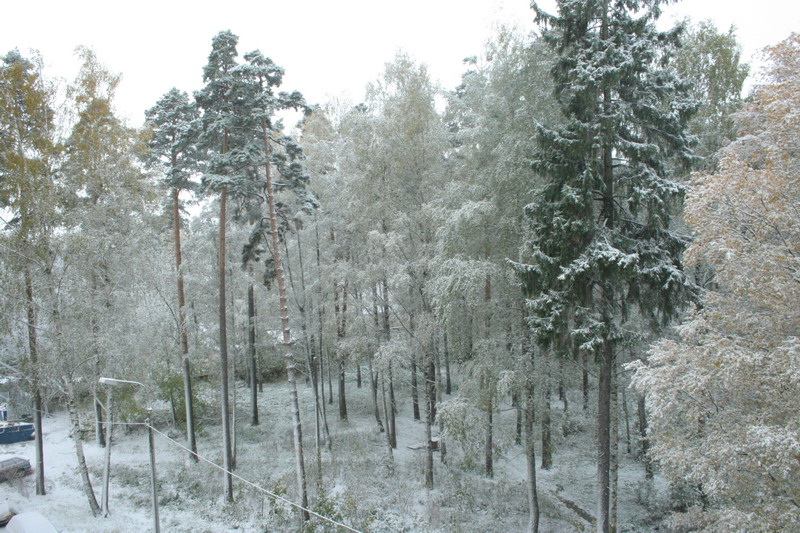 IMG_0758.jpg1.jpg"%20height="533"%20width="800